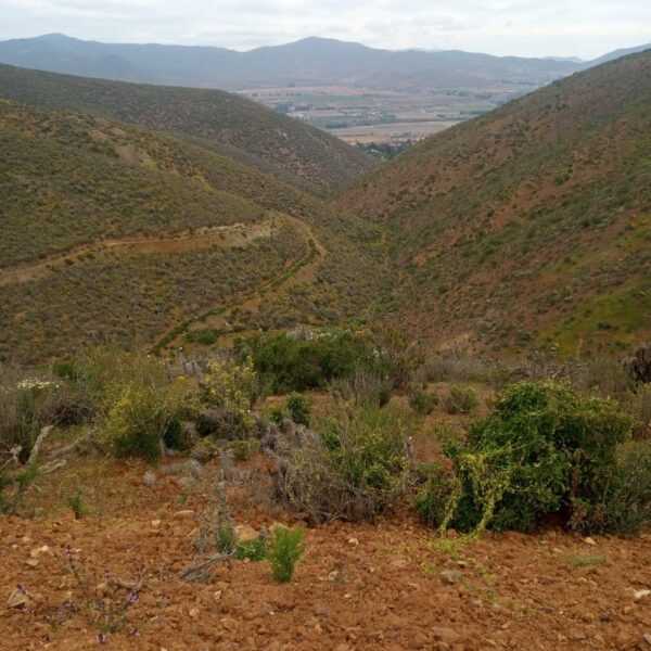 n-64-parcela-de-agrado-la-serena-3