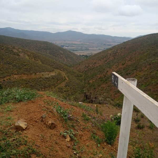 n-64-parcela-de-agrado-la-serena-4