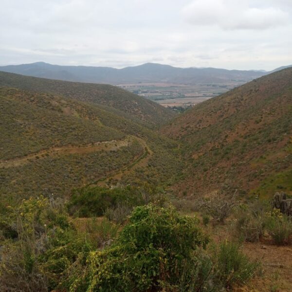 n-64-parcela-de-agrado-la-serena-6