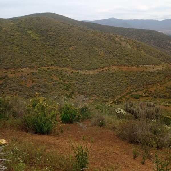 n-64-parcela-de-agrado-la-serena-8