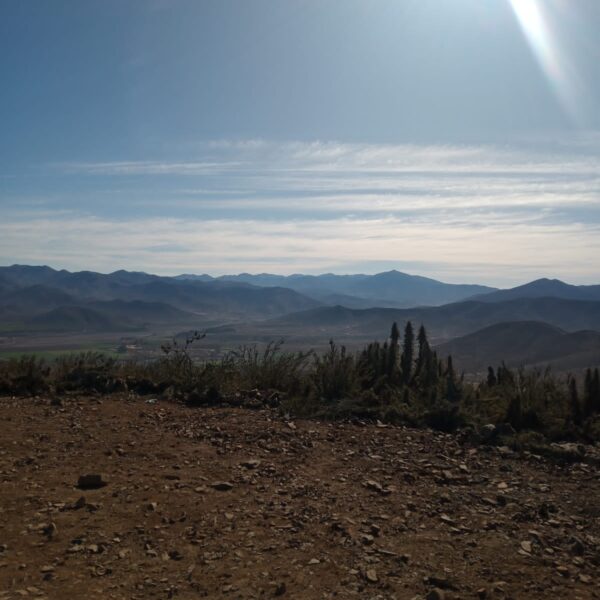 parcela51-elromeral-laserena-11